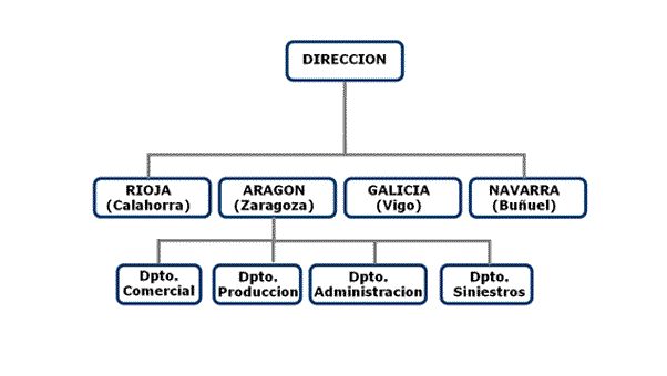 Organigrama